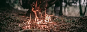 Podstawowe Szkolenie Survivalowe | wiele lokalizacji