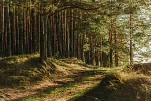 Survivalowe wyjście w teren rodzic + dwoje dzieci 8 godzin