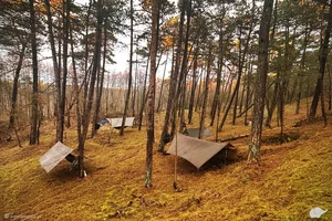 Podstawowe Szkolenie Survivalowe | wiele lokalizacji